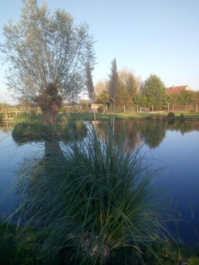 Chambre Coin Nature Fromelles Eksteriør billede